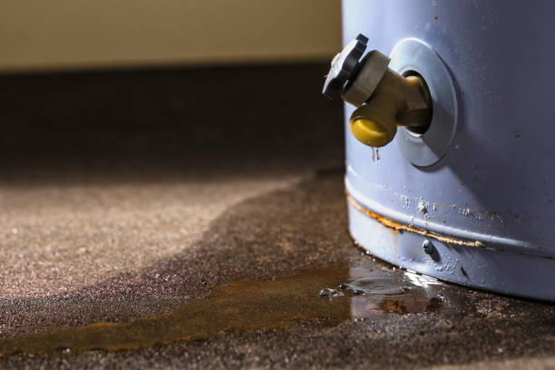 Best Water damage restoration near me  in San Clemente, CA