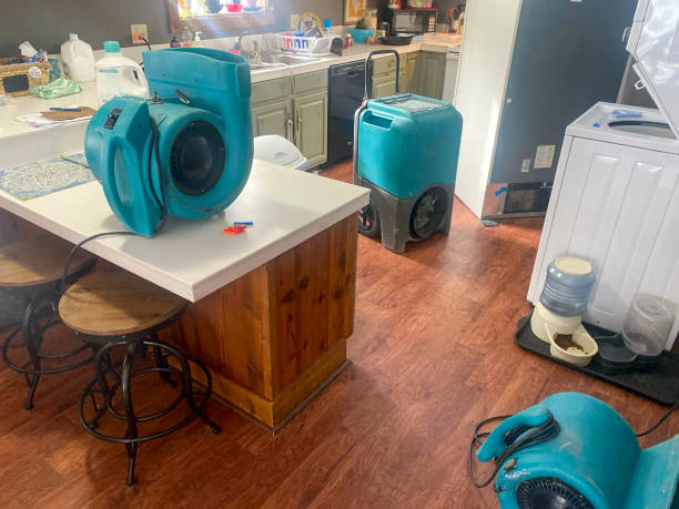 Best Local water damage restoration  in San Clemente, CA
