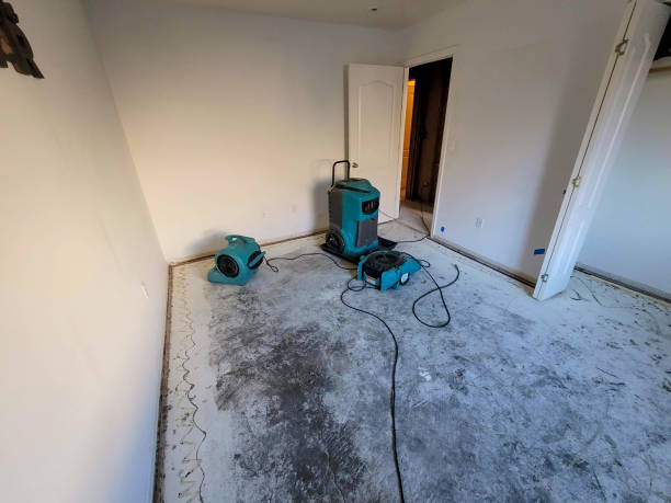 Trusted San Clemente, CA Water damage restoration Experts