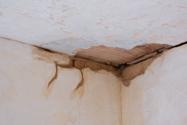 Best Water damage restoration near me  in San Clemente, CA