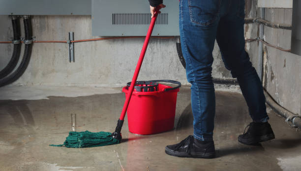 Best Sewage cleanup and water damage restoration  in San Clemente, CA