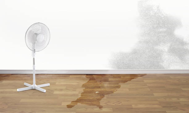 Best Ceiling water damage repair  in San Clemente, CA