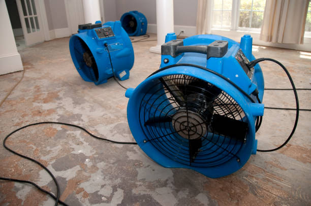 24/7 water damage repair in San Clemente, CA
