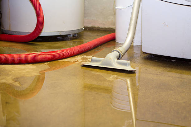 Best Flood restoration services  in San Clemente, CA