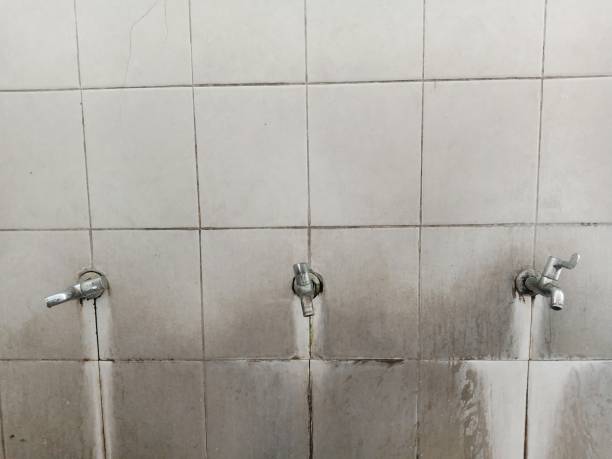 Best Mold removal after water damage  in San Clemente, CA