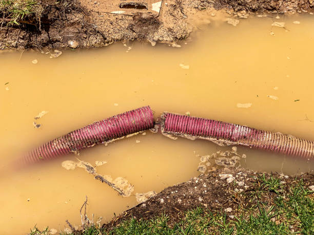  San Clemente, CA Water damage restoration Pros